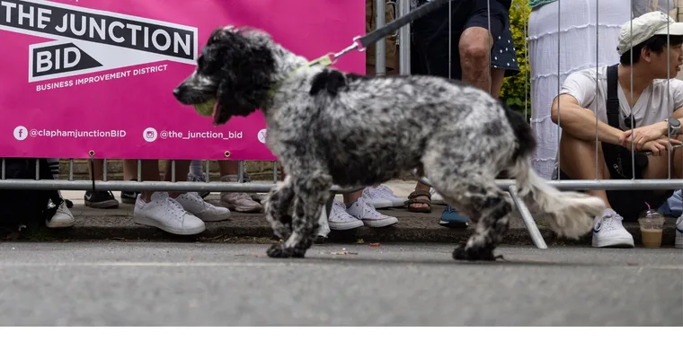 Top Dog-Friendly Cafés in Clapham Junction 26 Aug