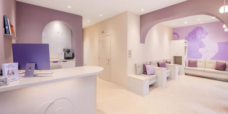 Creature Comforts Vets Clapham Junction