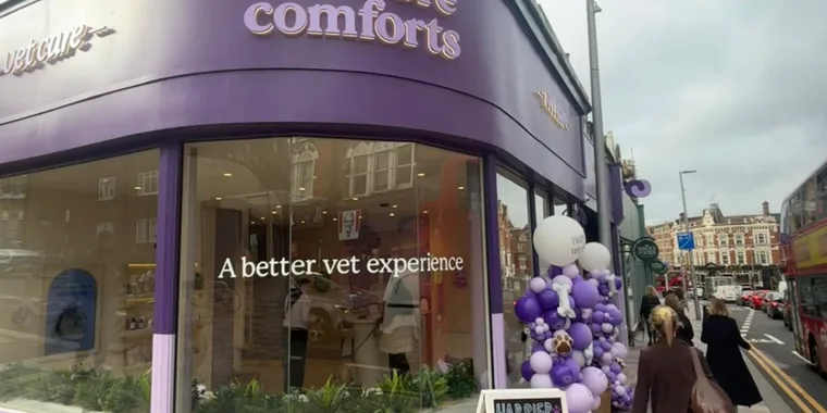Creature Comforts Vets Clapham Junction Professional Services