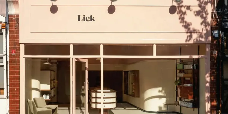 Lick Professional Services