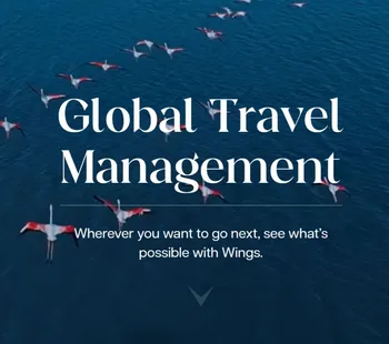 Wings Global Travel Professional Services