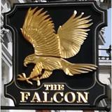 Logo The Falcon