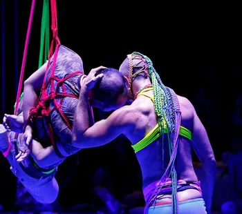 Bunny 04 Jun - 06 Jun