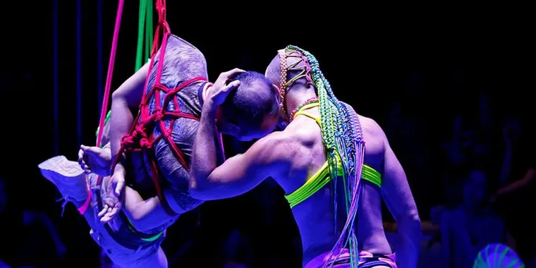 Bunny 04 Jun - 06 Jun